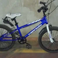 دو عدد دوچرخه نو