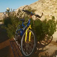 دوچرخه ۲۶|دوچرخه، اسکیت، اسکوتر|اراک, |دیوار