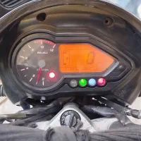 چراغ خفاشی پالس