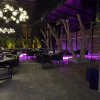 کار در کافه رستوران