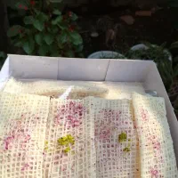 محصولات خانگی