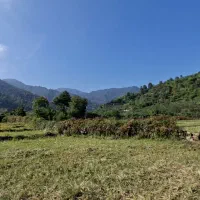 زمین ویلایی با ویو رویایی دریا و جنگل|فروش زمین و ملک کلنگی|چوبر, |دیوار