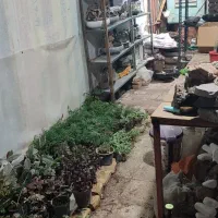 استخدام نیروجوان علاقه مندبه کارهنری و گل|استخدام صنعتی، فنی، مهندسی|یزد, |دیوار