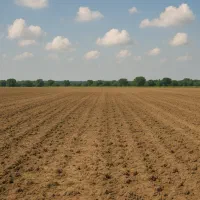 فروش فوری زمین 200متری قلات کوچه۴ گلستان