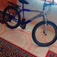 دوچرخه 24 مارک پلیس