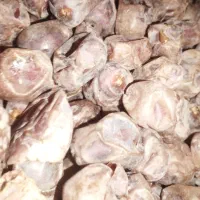 فروش خرماورطب وشیره خرمادرجه یک وطبیعی|عمده‌فروشی|آبادان, |دیوار