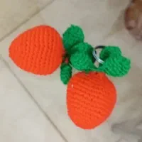 سرکلیدی هویج جاسوییچی