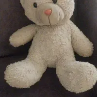 عروسک خرس سبز
