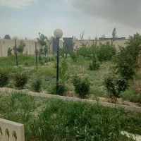 باغچه تهراندشت