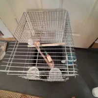 قفس پرنده|لوازم جانبی حیوانات|مشکیندشت, |دیوار