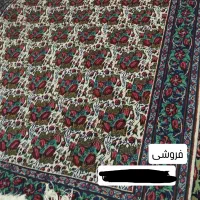 دوعدد قالی گل سرخ اسفندقه|فرش|اسفندقه, |دیوار