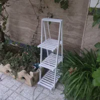 اسند گل