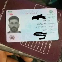 دوستان مدارک گم کرده ام به نام علی شاه رخ ابادی