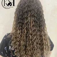 خدمات تخصصی فر دائم