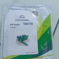 بذر 547 اصلی