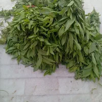 سبزی خشک و ارگانیک
