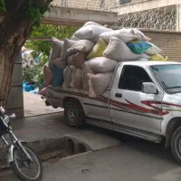 خریدوفروش انواع بادام|خوردنی و آشامیدنی|شیراز, دروازه اصفهان|دیوار