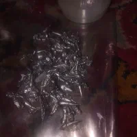 60 گرم نقره ساچمه  عیار 900