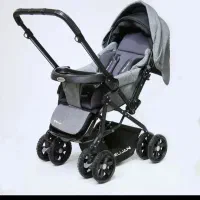 کالسکه دلیجان|کالسکه و لوازم جانبی|کرمان, |دیوار