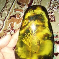 سنگ کهربا کلکسیونی به این زیبای