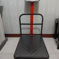 باسکول ۳۰۰ کیلویی