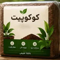 کوکوپیت