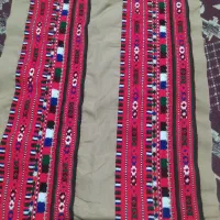 زیاستین دمن دوچ