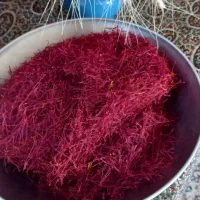 باغچه زیبا در روستای پیرسقای ابهر سند تک برگ