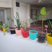 اجاره بلند مدت واحد مسکونی ۱۱۰متری