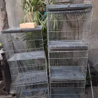 قفس ۴ خان غلامی و ۳ خان غلامی و ۱۰۳۲