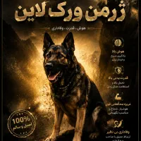 ژرمن ورکلاین وارداتی