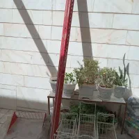وسایل سوپر مارکت|فروشگاه و مغازه|قرچک, محمد آباد|دیوار