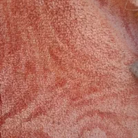 موکت پشت پنبه دو عدد|موکت|مشهد, طبرسی شمالی|دیوار