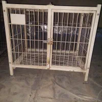 قفس سگ و گربه|لوازم جانبی حیوانات|پرند, فاز ۲|دیوار