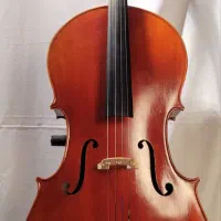 ویلنسل - cello|ویولن|مشهد, موسوی قوچانی|دیوار