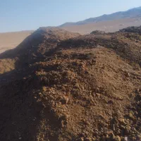 کود گاو