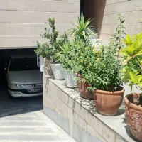 هروی/خیابان ضابطی/۷۵متر/۲خواب/حیاط خلوت اختصاصی
