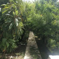 خانه-باغ-فروشی-سیدان