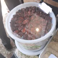 کبکاب کیفیت درجه ۱