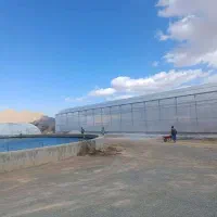 نصب انواع گلخانه صنعتی|خدمات پیشه و مهارت|شیراز, حومه شیراز|دیوار