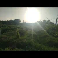 زمین باغی با طرح هادی مسکونی و باغ|فروش دفتر صنعتی، کشاورزی، تجاری|دامغان, |دیوار