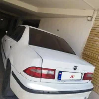 سمند معمولی ۸۹