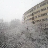 84متر-دوخواب