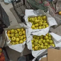 فروش سیب و گلابی|خوردنی و آشامیدنی|خواجه, |دیوار