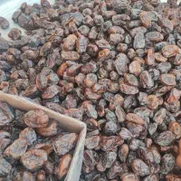 خرمای کارتن دو کیلویی|خوردنی و آشامیدنی|وحدتیه, |دیوار