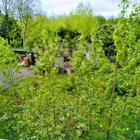 اجاره روزانه/هفتگی/ماهانه آپارتمان ۱۲۰ متری|اجارهٔ کوتاه‌مدت آپارتمان و سوئیت|ماسال, |دیوار