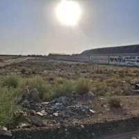 زمین گلخانه جیتو فیلستان بر جاده اصلی|فروش دفتر صنعتی، کشاورزی، تجاری|پاکدشت, پاکدشت (مامازند)|دیوار