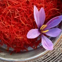 زعفران مجتهدی قیمت قدیم