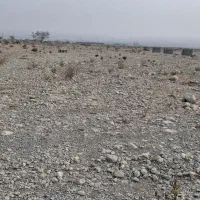 فروش زمین  شهر تخت محله اسلام آباد جاده جغان|فروش دفتر صنعتی، کشاورزی، تجاری|تخت, |دیوار