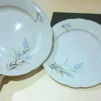 2 عدد بشقاب اصل چک برند MZ نقاشی دستساز آنتیک